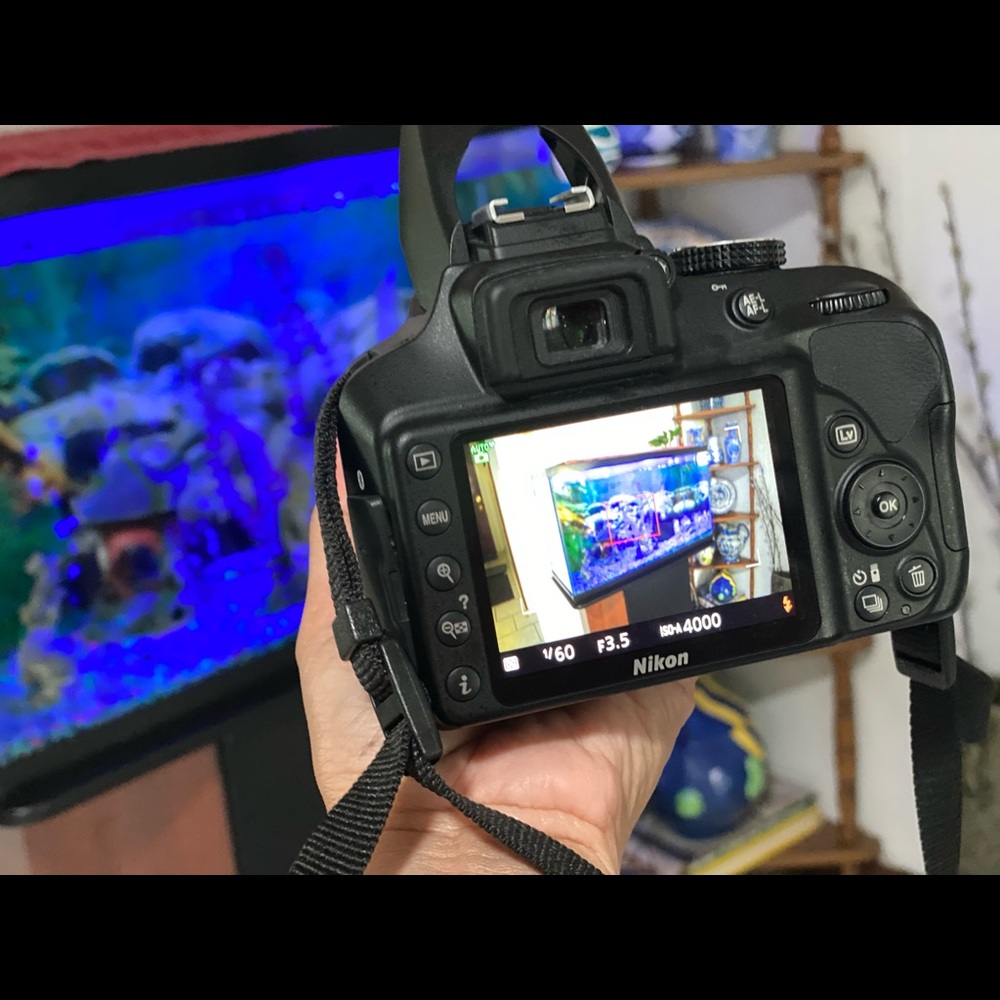 Nikon Camera D3400